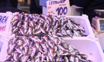 Tezgahlar istavritle doldu: Fiyatlar tabanı gördü