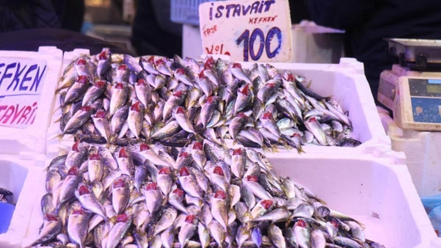 Tezgahlar istavritle doldu: Fiyatlar tabanı gördü