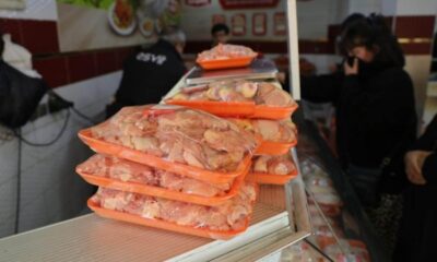 Zehirlenmeler tavuk fiyatlarını baskıladı